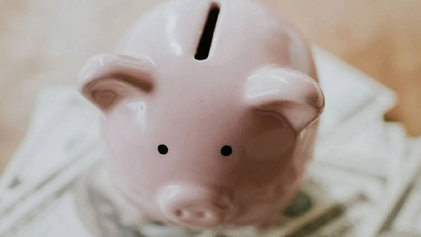 Kumbaralar Neden Genelde Domuz Şeklindedir? Cevabı Yüzyıllar Öncesinde Saklı - Resim : 1