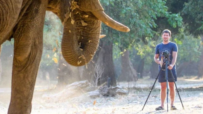 Dünyayı Dehşete Düşüren Olay! Milyoner CEO, Fil Saldırısında Hayatını Kaybetti - Resim : 1
