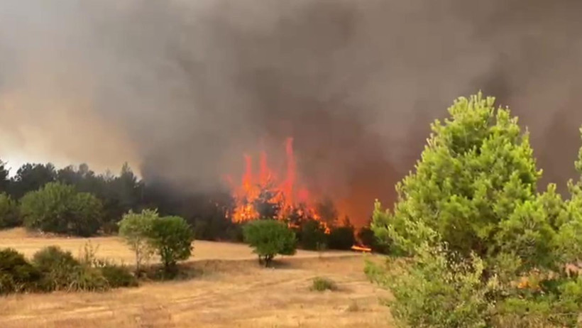 Alevlerle Savaş: Orman Yangınları İl İl Büyüyor! Eskişehir, Bilecik, Karabük, Afyonkarahisar - Resim : 4