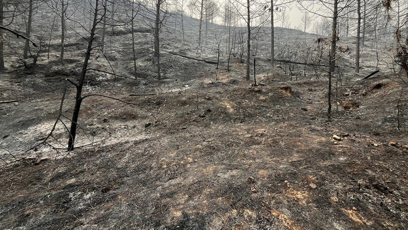 Alevlerle Savaş: Orman Yangınları İl İl Büyüyor! Eskişehir, Bilecik, Karabük, Afyonkarahisar - Resim : 9