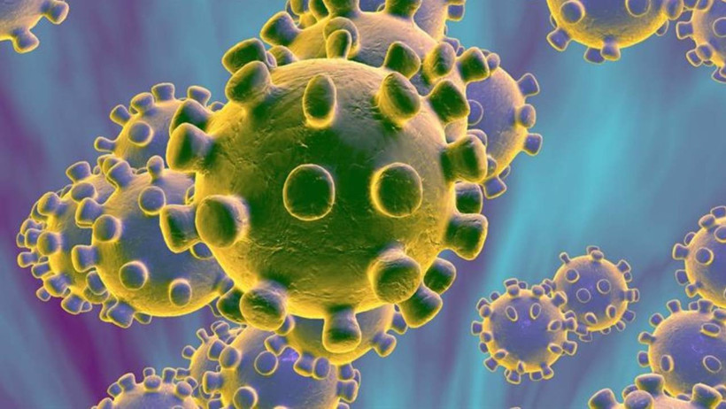 Chikungunya Virüsü Alarmı! Avrupa'ya Yayıldı, Türkiye de Risk Altında - Resim : 1