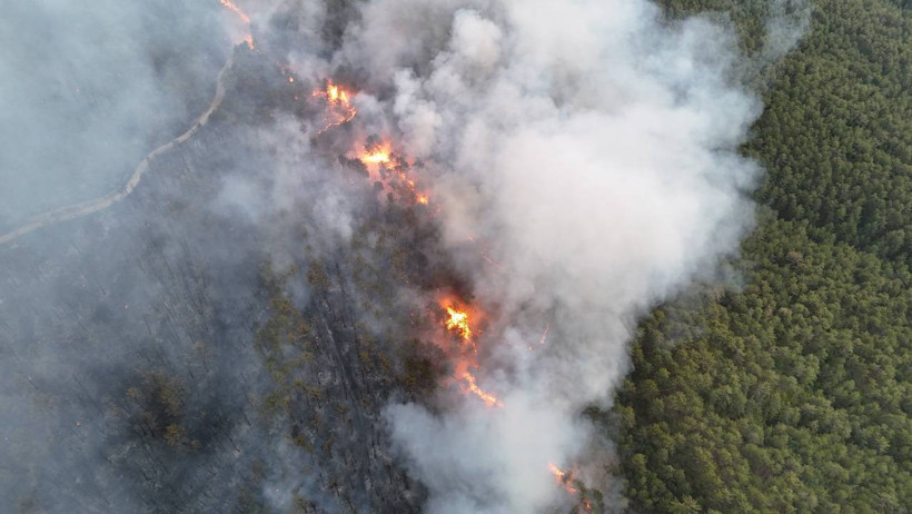 Ateş Hattında Amansız Mücadele! Antalya’nın 4 İlçesinde Birden Alarm, İşte Son Durum - Resim : 23