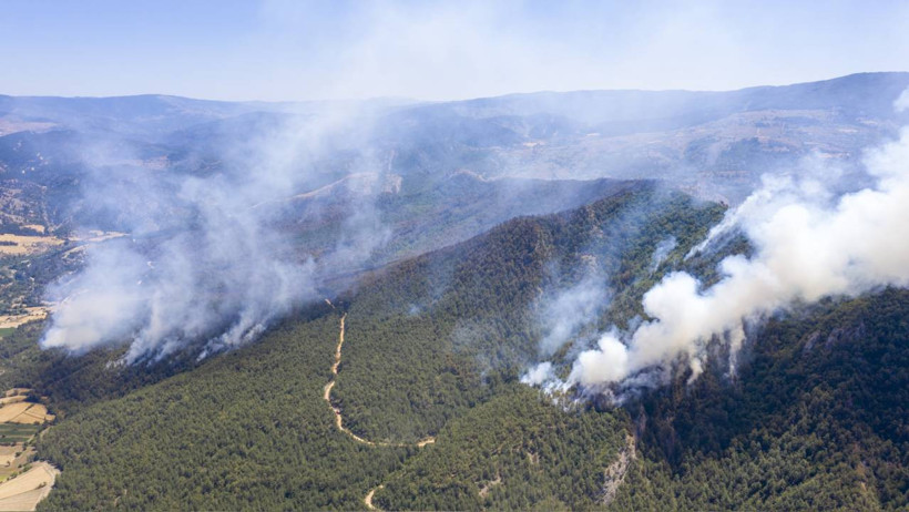 Ateş Hattında Amansız Mücadele! Antalya’nın 4 İlçesinde Birden Alarm, İşte Son Durum - Resim : 13