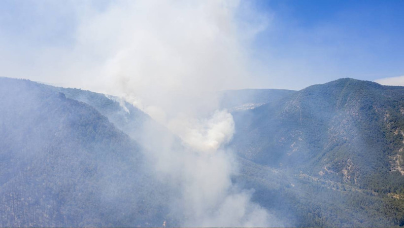 Ateş Hattında Amansız Mücadele! Antalya’nın 4 İlçesinde Birden Alarm, İşte Son Durum - Resim : 12