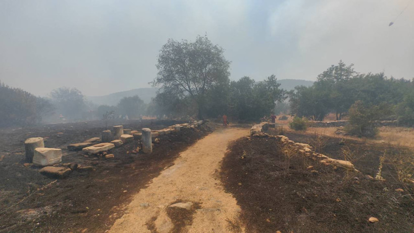 Ateş Hattında Amansız Mücadele! Antalya’nın 4 İlçesinde Birden Alarm, İşte Son Durum - Resim : 8