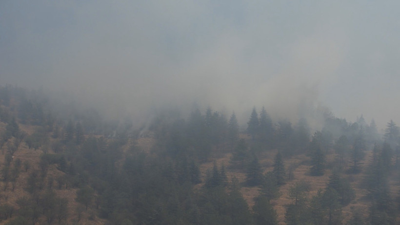 Ankara'daki Yangın Kontrol Altında - Resim : 1