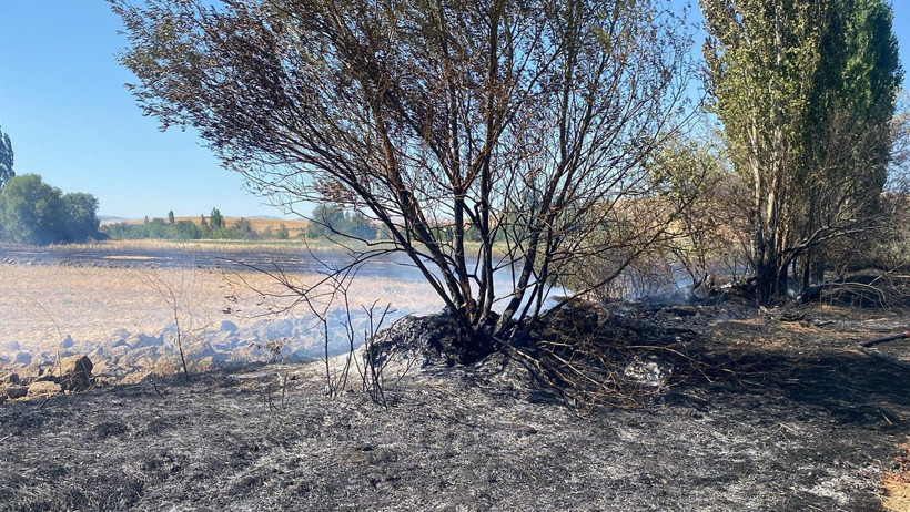 Alaca'da Yangın! 5 Dönüm Arazi Zarar Gördü - Resim : 1