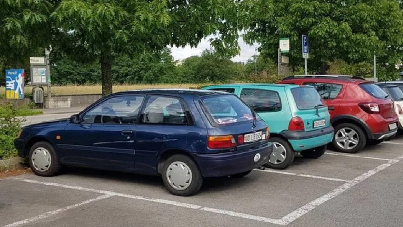 Gölge Diye Aracınızı Sakın Bu Ağaçların Altına Park Etmeyin! Yüz Binlerce Lira Zarara Uğrayabilirsiniz - Resim : 1