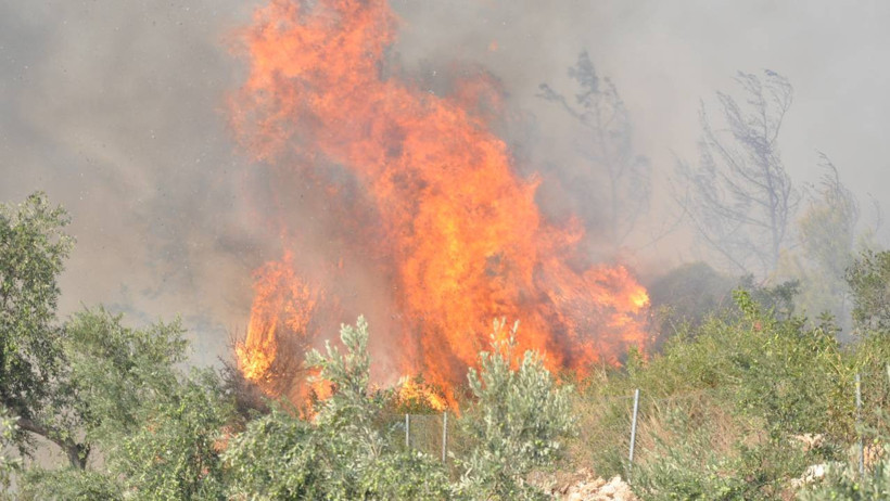 Orman Yangınları Yurdu Sardı! Biri Biterken Diğeri Başlıyor, Alevlerle Amansız Mücadele Gece Gündüz Sürüyor - Resim : 8