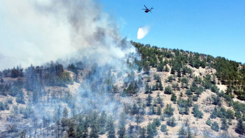 Orman Yangınları Yurdu Sardı! Biri Biterken Diğeri Başlıyor, Alevlerle Amansız Mücadele Gece Gündüz Sürüyor - Resim : 4
