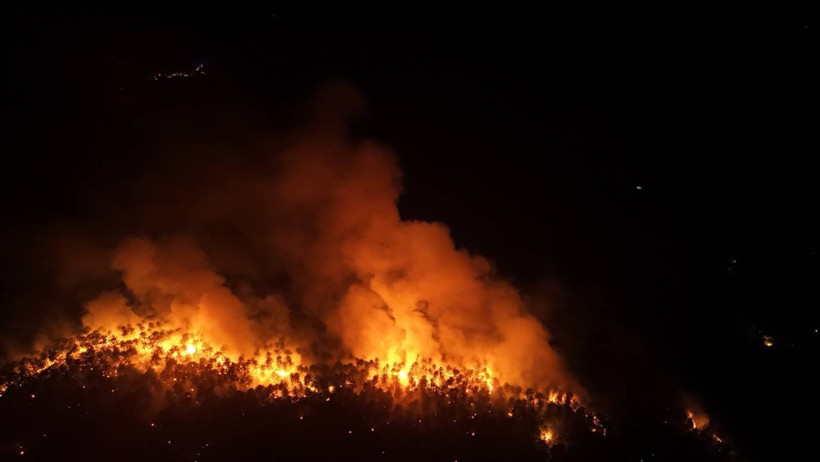 Orman Yangınları Yurdu Sardı! Biri Biterken Diğeri Başlıyor, Alevlerle Amansız Mücadele Gece Gündüz Sürüyor - Resim : 17