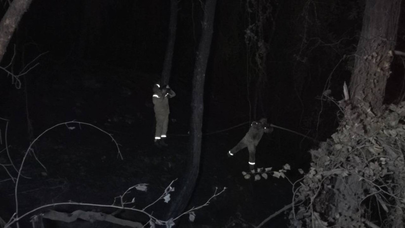 Orman Yangınları Yurdu Sardı! Biri Biterken Diğeri Başlıyor, Alevlerle Amansız Mücadele Gece Gündüz Sürüyor - Resim : 15