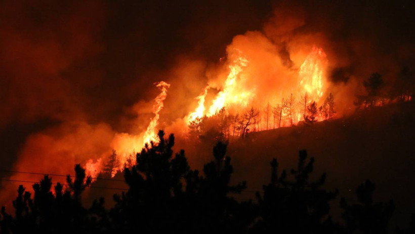 Orman Yangınlarıyla Amansız Mücadele Sürüyor! Bursa ve Karabük Yangınlarında Son Durum - Resim : 8