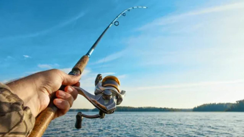 Boş Dönmek İstemeyen Balıkçılar Dikkat! Balıklar En Çok O Saatte Yüzeye Çıkıyor: Av İçin Altın Zamanlar - Resim : 1