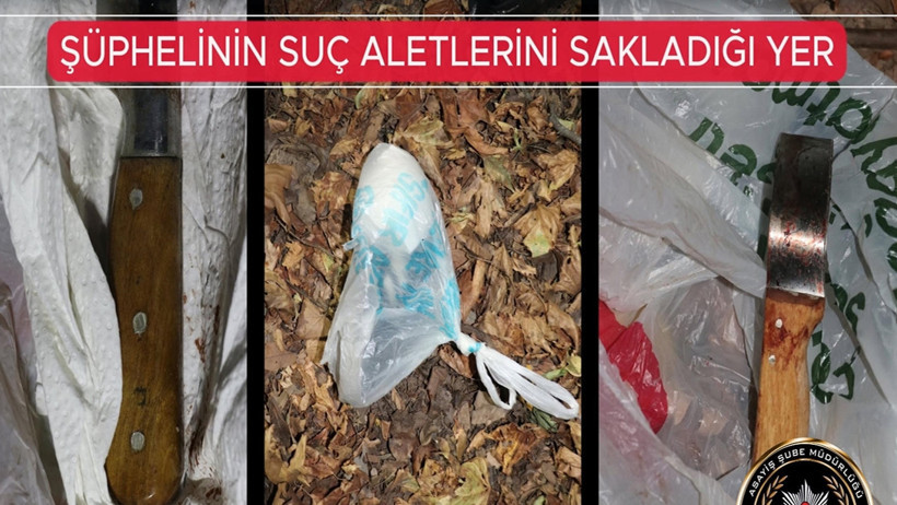 Korkunç Planı Kan Dondurdu! Her Şeyi İlmek İlmek İşledi, Annesi ile Hayat Arkadaşını Katletti - Resim : 1