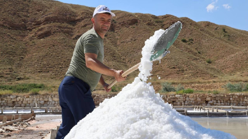 Yerin 7 Metre Altından Çıkıyor, 100 Havuzda Bekletiliyor: Beyaz Atının Her Damlası Servet Değeri Taşıyor - Resim : 1