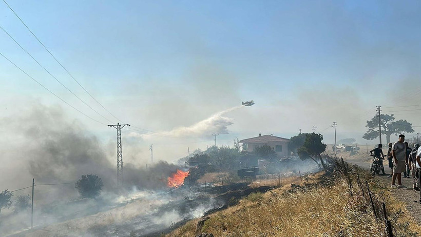 21 Saatlik Kabusta Orman Kül Oldu, Hayvanlar Öldü! Sorumlular Serbest Kaldı - Resim : 3