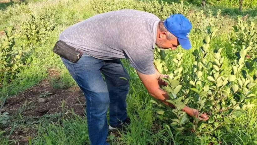Arkadaşının Israrıyla Dikmişti: Şimdilerde Paraya Para Demiyor - Resim : 1