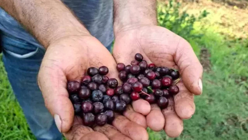 Arkadaşının Israrıyla Dikmişti: Şimdilerde Paraya Para Demiyor - Resim : 2