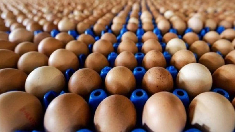 Bir Daha Tadına Bakamayacaksınız: Marketlerde Artık O Yumurtalar Satılmayacak! - Resim : 1
