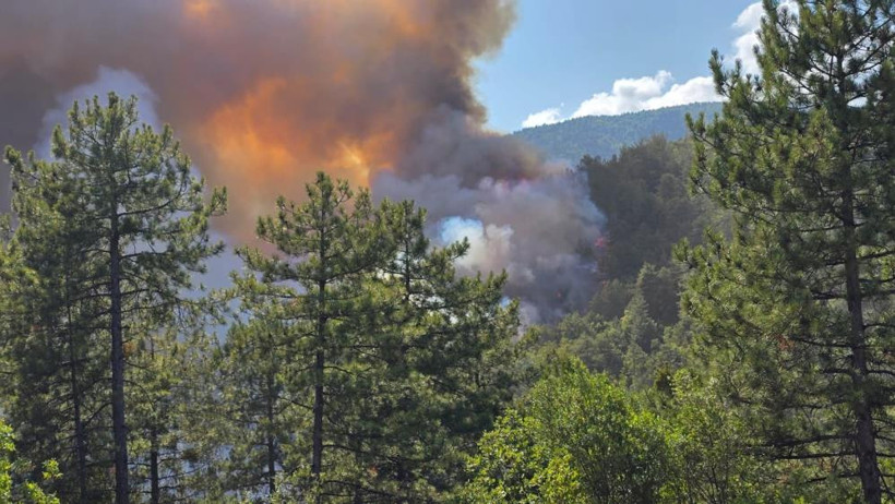 Karabük'te Alevler Yeniden Yükseldi! Havadan ve Karadan Müdahale Sürüyor - Resim : 1