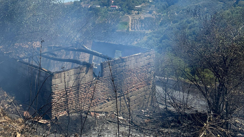 Samsun'da Korkutan Alevler: Ormana Sıçramadan Söndürüldü - Resim : 1