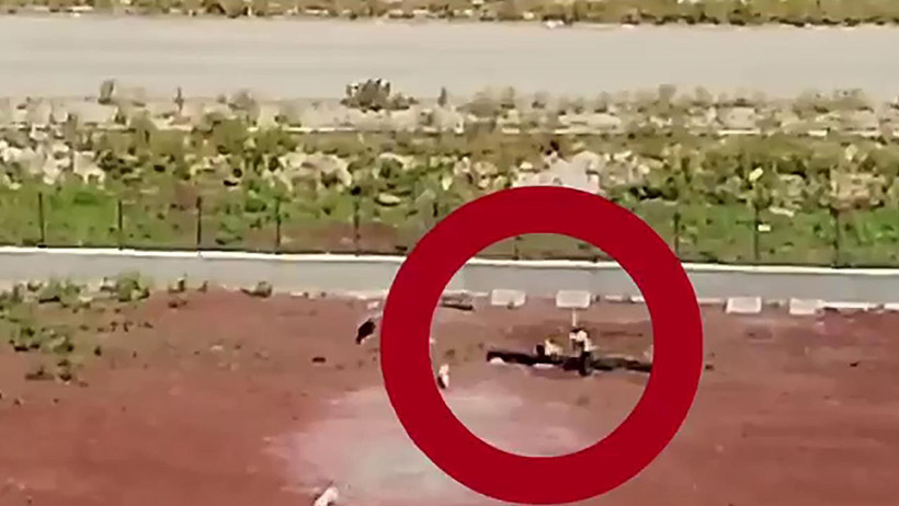 Vahşetin Adresi Bu Kez Kars... Barınakta Köpeklere Kan Donduran Şiddet - Resim : 1