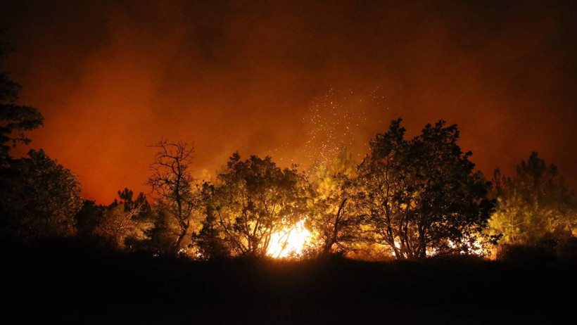 Biri Bitmeden Diğeri Başlıyor... İzmir'de Ormanlar Alevlere Teslim - Resim : 8