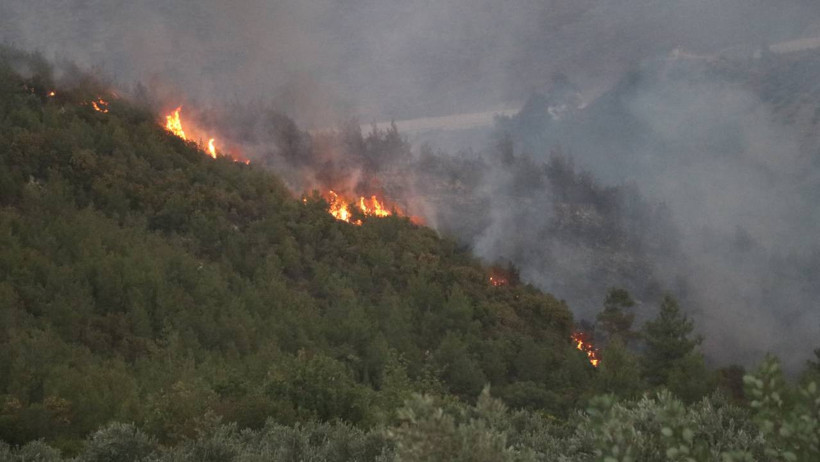 Biri Bitmeden Diğeri Başlıyor... İzmir'de Ormanlar Alevlere Teslim - Resim : 2