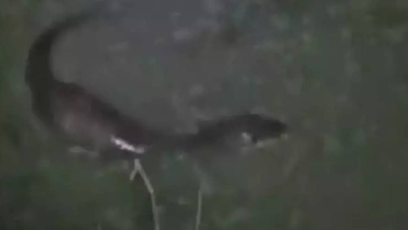 Burası Amerika Değil Edirne! Tatilciler Fark Eder Etmez Telefona Sarıldı - Resim : 1