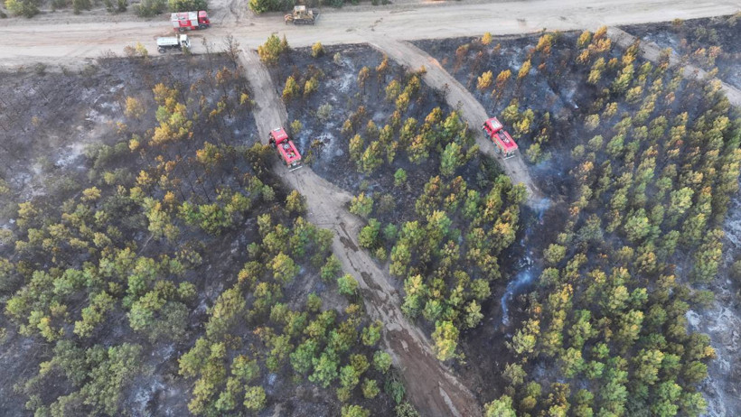Binlerce Kişi Tahliye Edilmişti... Edirne'den Yürek Yakan Görüntüler: Yemyeşil Ormanlar Kömür Karasına Döndü - Resim : 3