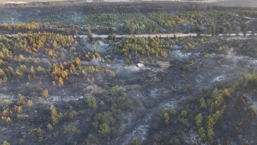 Binlerce Kişi Tahliye Edilmişti... Edirne'den Yürek Yakan Görüntüler: Yemyeşil Ormanlar Kömür Karasına Döndü - Resim : 4