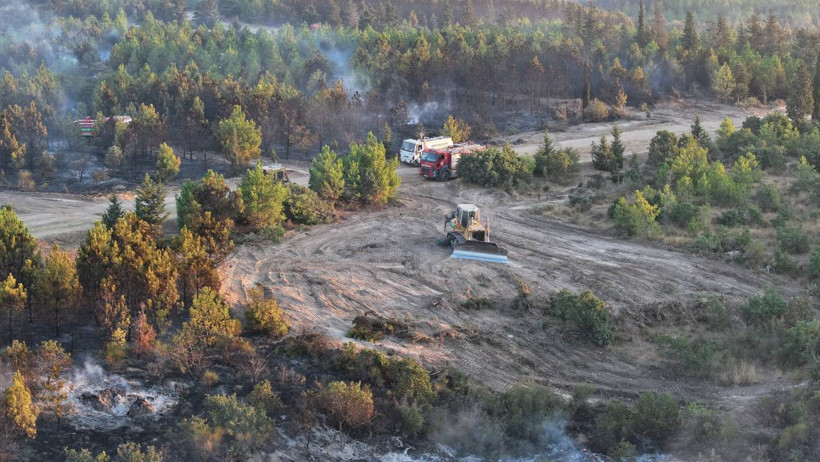 Binlerce Kişi Tahliye Edilmişti... Edirne'den Yürek Yakan Görüntüler: Yemyeşil Ormanlar Kömür Karasına Döndü - Resim : 2