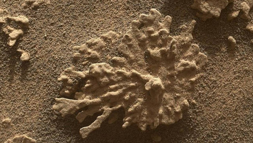 Kızıl Gezegen'de Heyecanlandıran Keşif: Bir Zamanlar Hayat Var mıydı? - Resim : 2