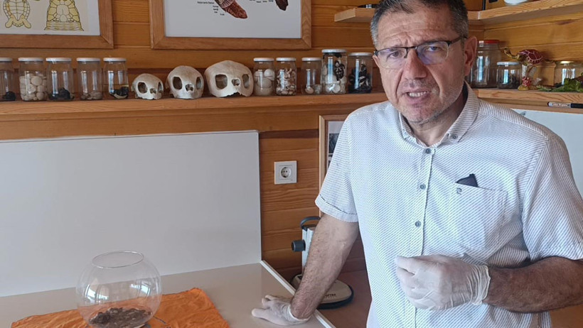 Bilim Dünyasını Heyecanlandıran Keşif! Türkiye’de İlk Kez Görüldü - Resim : 1