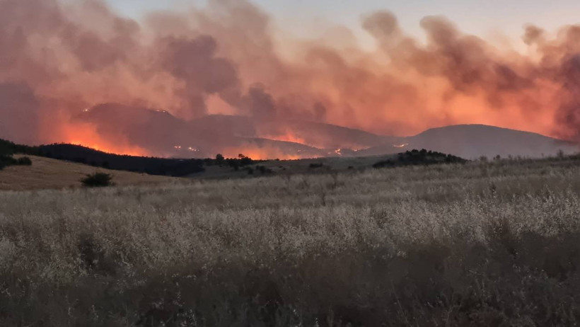 Bakan Yumaklı 'İlk Kez Açıklıyorum' Diyerek Duyurdu! Yangınlardan Etkilenen Bölgelere Av Yasağı Geliyor - Resim : 1