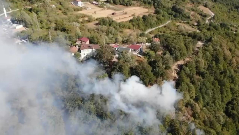 Birçok İlde Orman Yangını! İzmir, Kocaeli, Afyon, Diyarbakır ve Karaman Alev Alev - Resim : 4