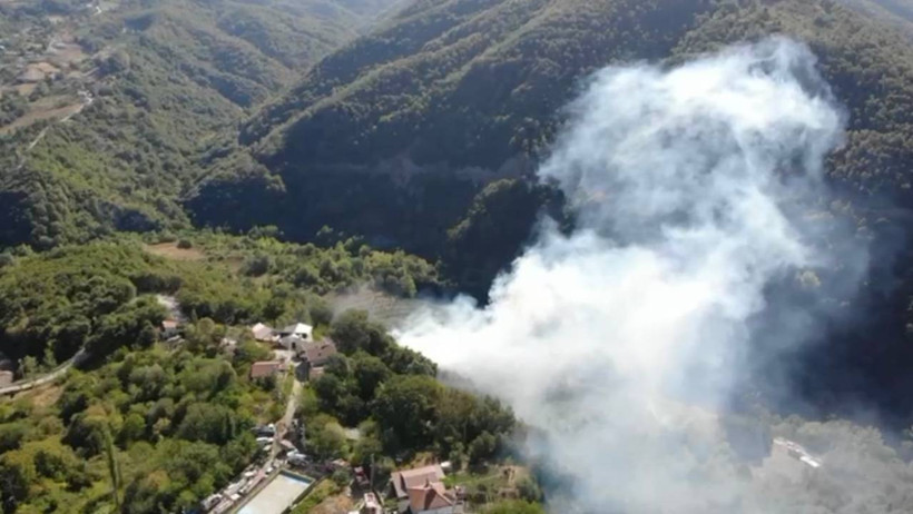 Birçok İlde Orman Yangını! İzmir, Kocaeli, Afyon, Diyarbakır ve Karaman Alev Alev - Resim : 3