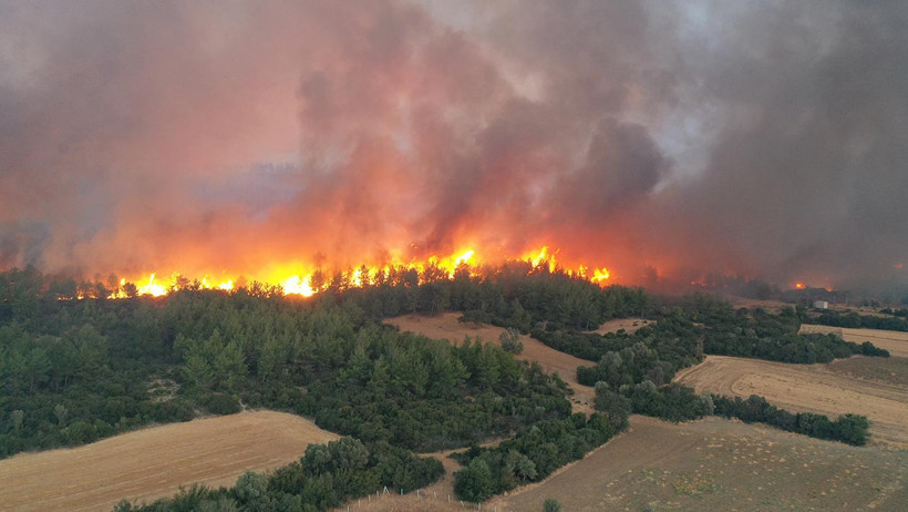 Ormanlar Alev Alev Yanarken Bakan Yumaklı'dan Bir Garip Açıklama Daha! Bu Sözler Çok Tartışılır - Resim : 1