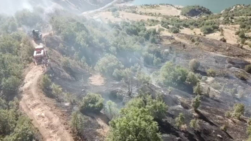 Çanakkale Ateş Çemberinde! Evler Tahliye Edildi, Tarihi Alanlara Girişler Durduruldu - Resim : 12