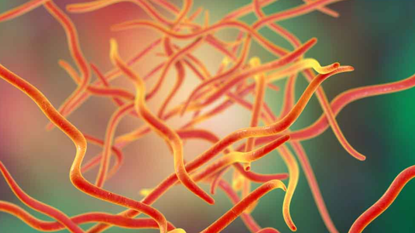 Vücuda Acısız Şekilde Nüfuz Ediyor, Gizli Gizli Kansere Götürüyor! Avrupa'da Görülmeye Başladı - Resim : 1