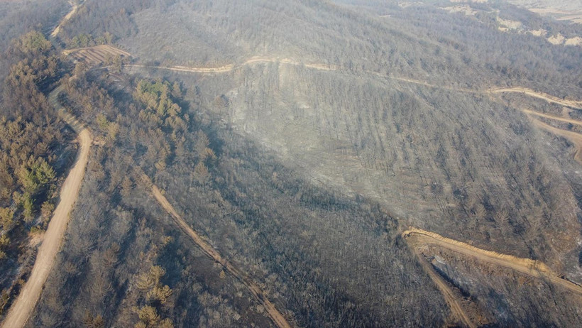 Art Arda Başlamıştı... Orman Yangınları Kontrol Altında - Resim : 4