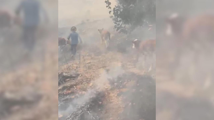 Art Arda Başlamıştı... Orman Yangınları Kontrol Altında - Resim : 3