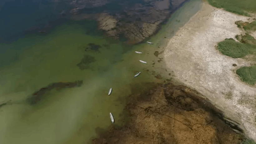 İller Farklı, Manzara Aynı: Ladik ve Beyşehir Gölleri Can Çekişiyor - Resim : 2