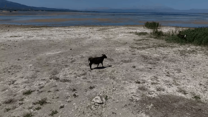 İller Farklı, Manzara Aynı: Ladik ve Beyşehir Gölleri Can Çekişiyor - Resim : 1