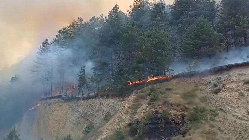 Bolu'da Orman Yangını - Resim : 1