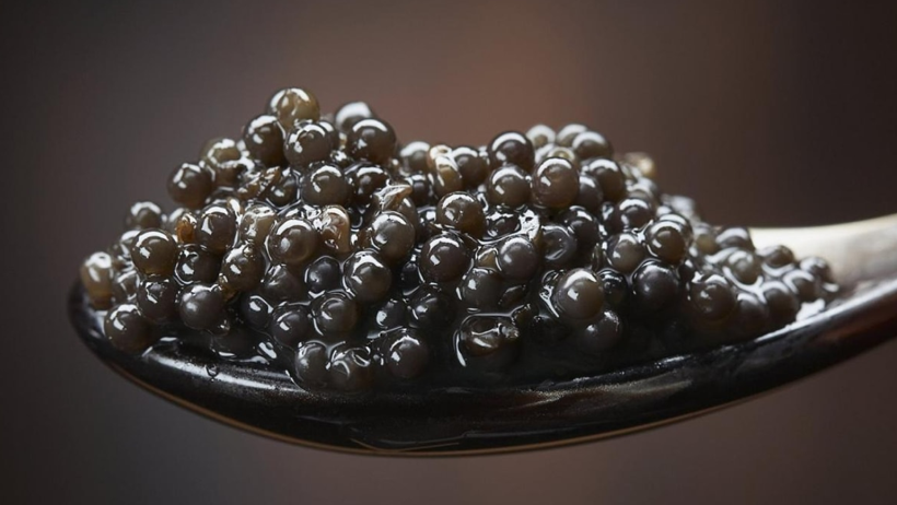 Dünyanın En Pahalı 7 Lezzeti: Bir Dilimine Servet Ödüyorlar - Resim : 1