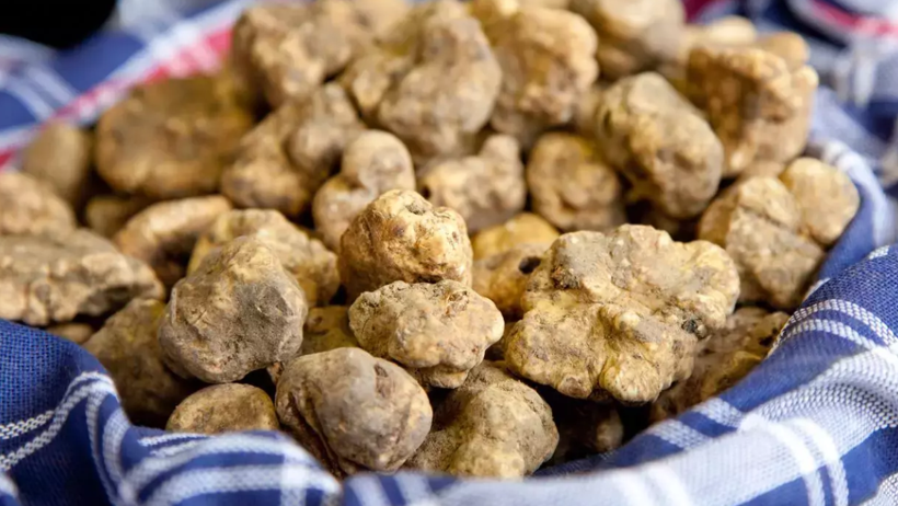 Dünyanın En Pahalı 7 Lezzeti: Bir Dilimine Servet Ödüyorlar - Resim : 3