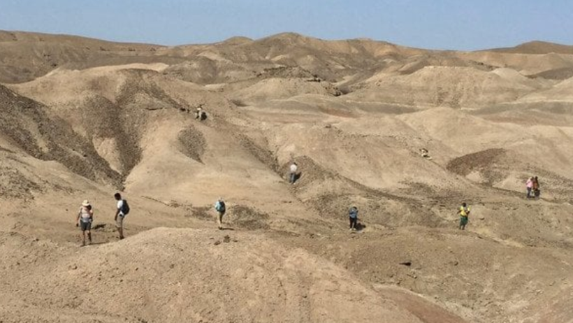 Afrika'da Ortaya Çıkarıldı: İnsan Atasına Ait Yeni Bir Tür Bulundu - Resim : 2