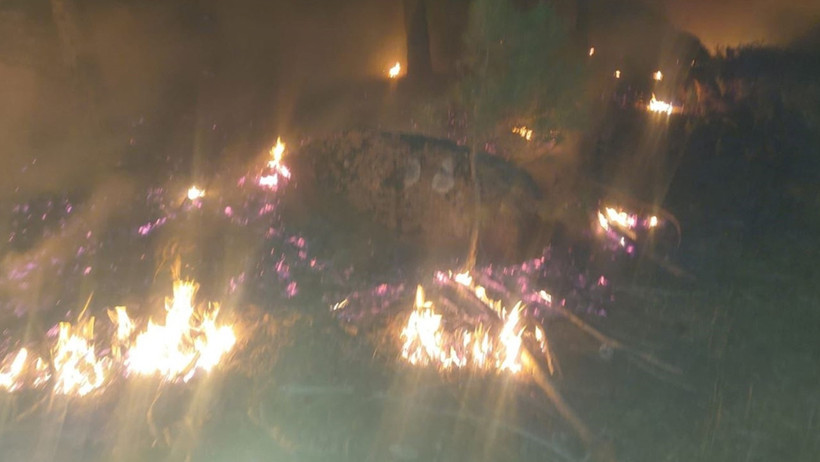 Muğla'da Orman Yangını... 1 Hektarlık Alan Kül Oldu - Resim : 2